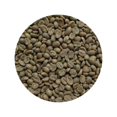 肯尼亚 尼耶里山