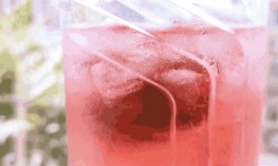 夏天不止有Mojito，还有冷泡茶