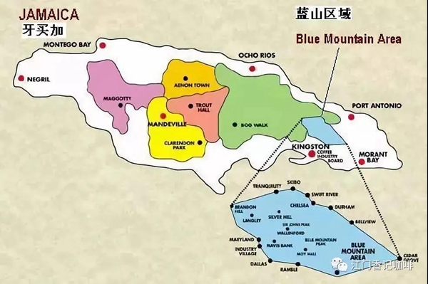蓝山咖啡