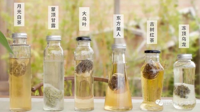 茶叶冷泡法