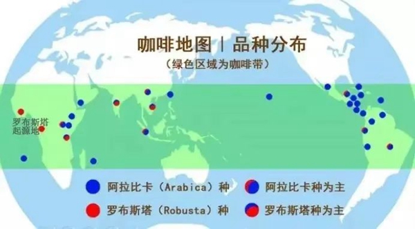 阿拉比卡咖啡豆